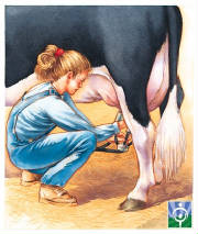 milking.jpg